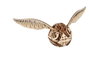 Ugears Harry Potter Maqueta de madera Snitch Dorada DIY