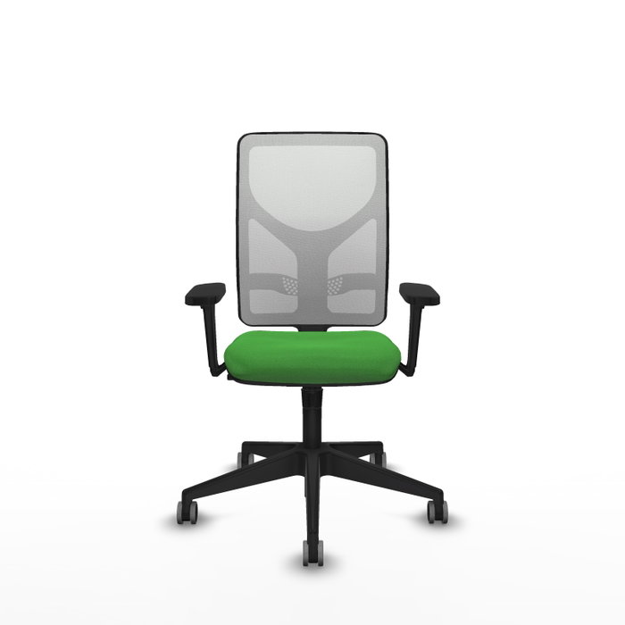 PIQUERAS Y CRESPO Silla de oficina Motilla con mecanismo Sincro, Verde y Blanco