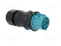 WIELAND RST Enchufe Industrial Redondo Hembra 5 Pines Azul Turquesa