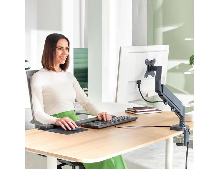 Leitz Brazo para monitor Ergo Space Saving Gris oscuro