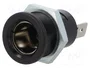 PRO CAR Tomacorriente de encendedor negro 12-24VDC 16A