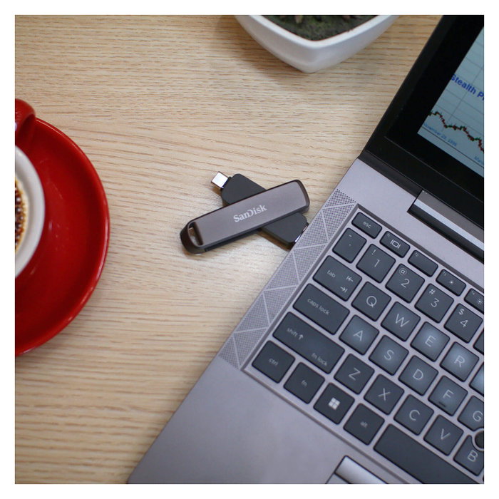 SanDisk Extreme PRO DUAL DRIVE 256 GB