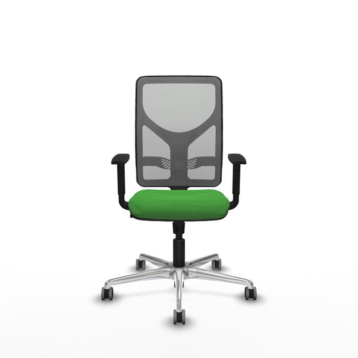 PIQUERAS Y CRESPO Silla de oficina Motilla con mecanismo Sincro, Verde y Gris PIQUERAS Y CRESPO Silla de oficina Motilla con mecanismo Sincro, Verde y Gris