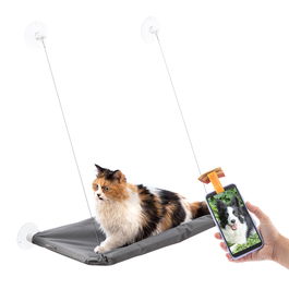 Pack Clip de Selfies para Mascotas y Hamaca Colgante para Gatos InnovaGoods