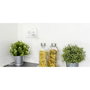 Rev Link2Home Socket & Timer Blanco