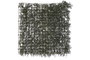 DKD Home Decor Jardín Vertical PE 50x50x5 UV Verde