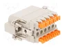 ILME Conector HDC CSAH Macho 10 PIN 16A