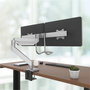 Fellowes Eppa Crossbar Monitor Arm Silver