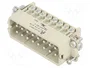 WIELAND Conector HDC Macho 32 Pines Tamaño 32A