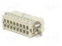 WIELAND Conector HDC Macho 32 Pines Tamaño 32A