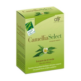 100% Natural Camellia SELECT 60 Cápsulas Extracto de Té Verde Sin Cafeína Ayuda Control de Peso Antioxidante