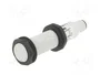 CARLO GAVAZZI CA18CLF08TOM6 Sensor Capacitivo M18