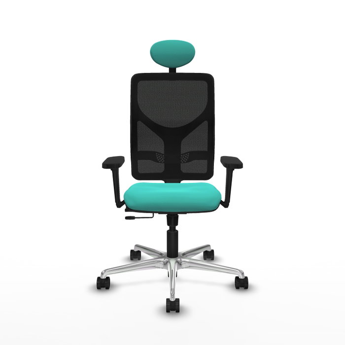 PIQUERAS Y CRESPO Silla de oficina Motilla con mecanismo Sincro/Traslack, color Turquesa y Negro PIQUERAS Y CRESPO Silla de oficina Motilla con mecanismo Sincro/Traslack, color Turquesa y Negro