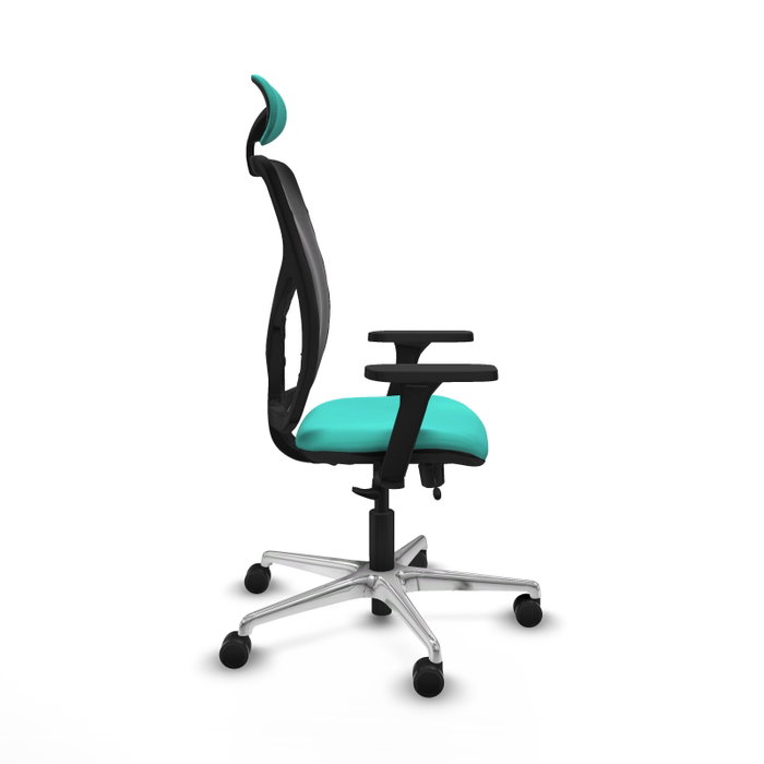 PIQUERAS Y CRESPO Silla de oficina Motilla con mecanismo Sincro/Traslack, color Turquesa y Negro PIQUERAS Y CRESPO Silla de oficina Motilla con mecanismo Sincro/Traslack, color Turquesa y Negro