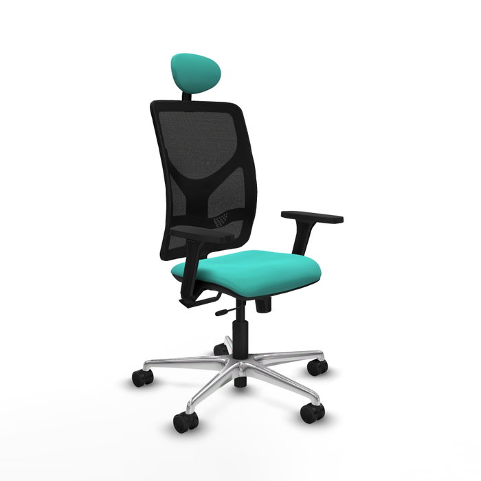 PIQUERAS Y CRESPO Silla de oficina Motilla con mecanismo Sincro/Traslack, color Turquesa y Negro PIQUERAS Y CRESPO Silla de oficina Motilla con mecanismo Sincro/Traslack, color Turquesa y Negro