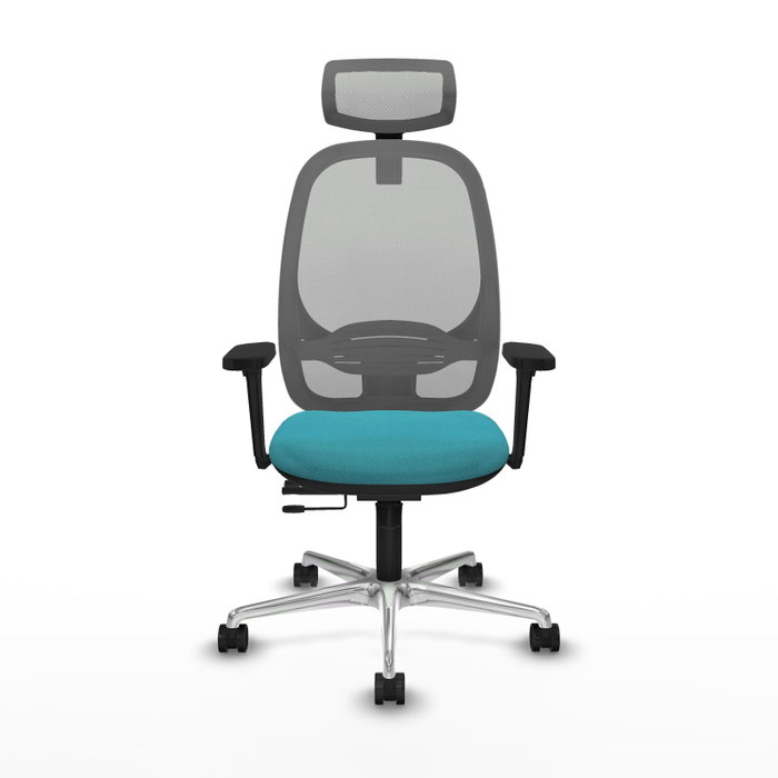 PIQUERAS Y CRESPO Silla de oficina Cilanco con mecanismo Sincro/Traslack, Turquesa y Gris PIQUERAS Y CRESPO Silla de oficina Cilanco con mecanismo Sincro/Traslack, Turquesa y Gris