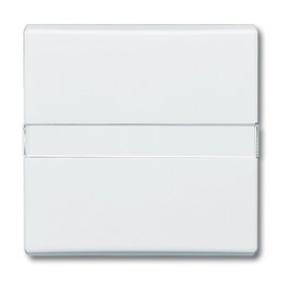 BUSCH-JAEGER 2106 N-34 Tapa para Interruptor de Conmutación/Cruzamiento Todo Clima, Blanco