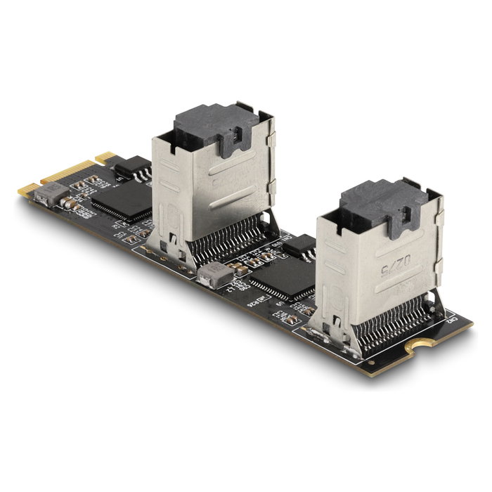 DeLOCK Convertidor M.2 2280 clave B+M macho a 8 x SATA DeLOCK Convertidor M.2 2280 clave B+M macho a 8 x SATA