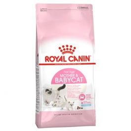 Royal Canin Alimento Húmedo Feline Mother & Babycat para Gatas Gestantes y Gatitos de hasta 4 meses, 400 gr