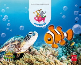 SM, Proyecto Explora Burbujas 5 años 3º trimestre 2017 - (17).PROY.EXPLORA:BURBUJAS GNOMOS 3ºTRIMESTRE