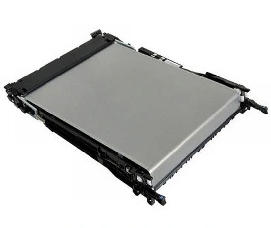 HP Correa para impresora B5L24-67901 HP Correa para impresora B5L24-67901