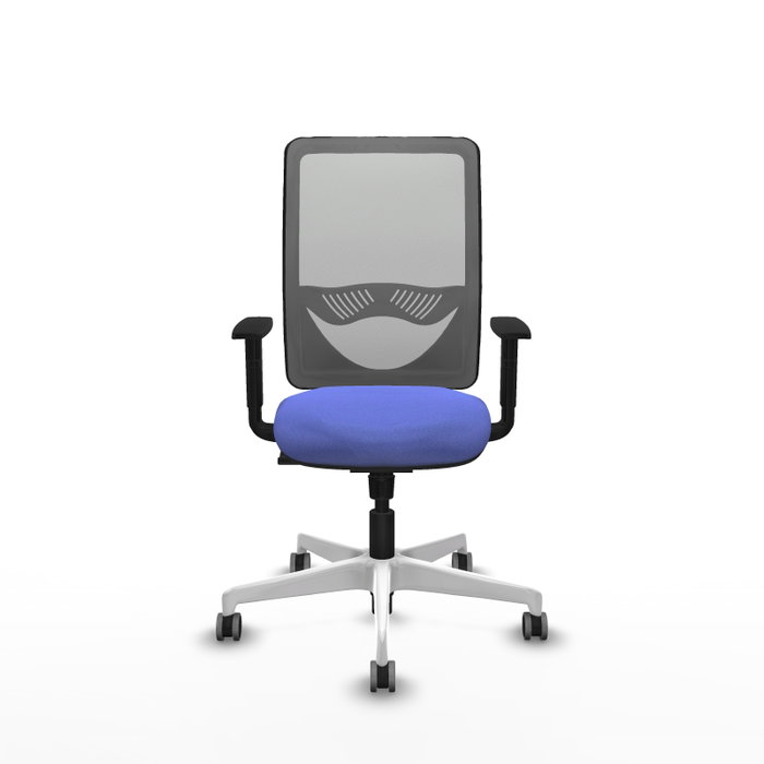 PIQUERAS Y CRESPO Silla de oficina Zulema con mecanismo Sincro, Azul claro y Gris PIQUERAS Y CRESPO Silla de oficina Zulema con mecanismo Sincro, Azul claro y Gris