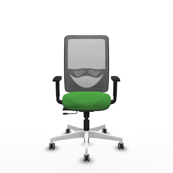 PIQUERAS Y CRESPO Silla de oficina Zulema Verde con mecanismo Sincro/Traslack PIQUERAS Y CRESPO Silla de oficina Zulema Verde con mecanismo Sincro/Traslack