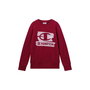Sudadera sin Capucha Niño Champion Graphic Shop Granate Rojo Oscuro S