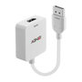 Lindy Adaptador HDMI a DisplayPort 1.2, Conversor Activo HDMI 18Gbps a DisplayPort