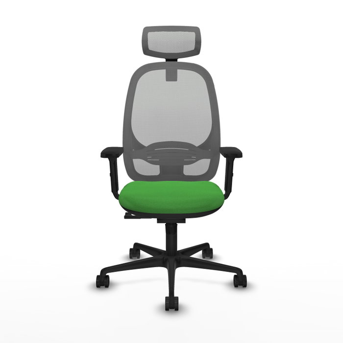 PIQUERAS Y CRESPO Silla de oficina Cilanco con mecanismo Sincro, Verde y Gris PIQUERAS Y CRESPO Silla de oficina Cilanco con mecanismo Sincro, Verde y Gris