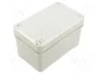 LEGRAND Carcasa Universal Gris IP55