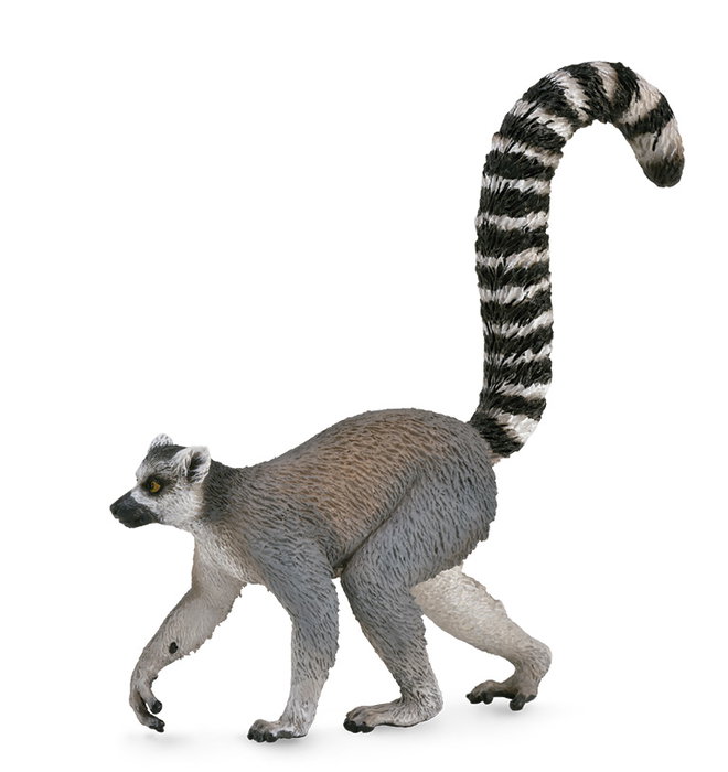 COLLECTA Lemur con cola anillada - M COLLECTA Lemur con cola anillada - M