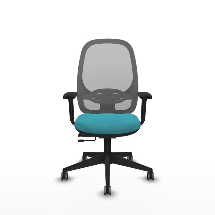 PIQUERAS Y CRESPO Silla de oficina Cilanco con mecanismo Sincro/Traslack Turquesa y Gris PIQUERAS Y CRESPO Silla de oficina Cilanco con mecanismo Sincro/Traslack Turquesa y Gris