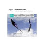 LG gram Pro 16ZD90SP-A.AX78B 16'' OLED 3K Intel Core Ultra 7 32GB RAM 1TB SSD Plata