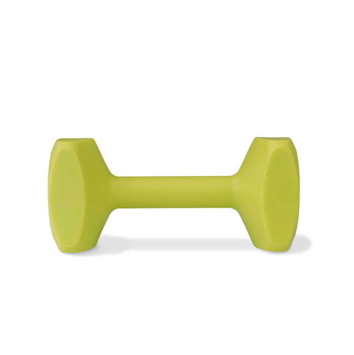 Juguete de adiestramiento Coachi TRAINING DUMBBELL