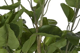 DKD Home Decor Árbol Verde 80 x 180 x 80 cm (2 Unidades)