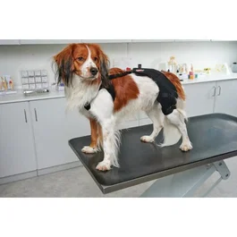 Kruuse Rehab Pro Protector De Rodilla XL Derecho