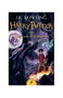 Penguin Random House Grupo Editorial, S.A.U. Estuche Harry Potter Dragon (Deluxe)