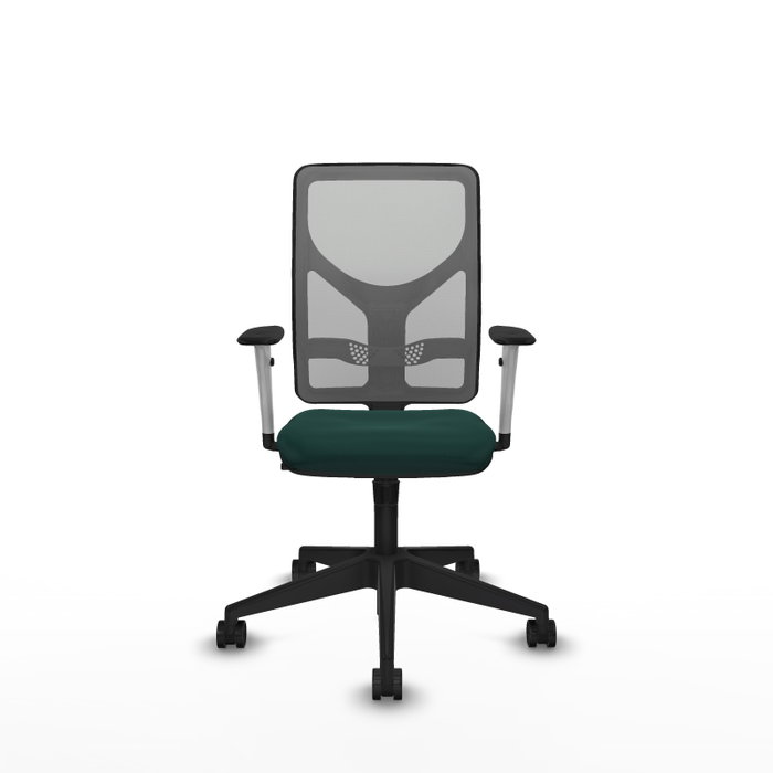 PIQUERAS Y CRESPO Silla de oficina Motilla con mecanismo Sincro, Verde botella y Gris PIQUERAS Y CRESPO Silla de oficina Motilla con mecanismo Sincro, Verde botella y Gris