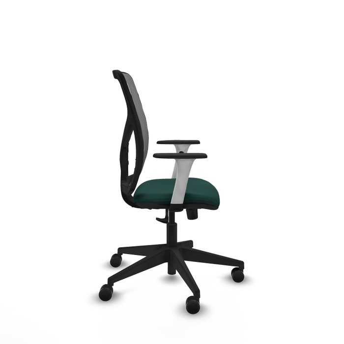 PIQUERAS Y CRESPO Silla de oficina Motilla con mecanismo Sincro, Verde botella y Gris PIQUERAS Y CRESPO Silla de oficina Motilla con mecanismo Sincro, Verde botella y Gris