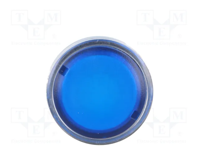 SCHNEIDER ELECTRIC Interruptor de presión ZB4BW36 azul 22mm