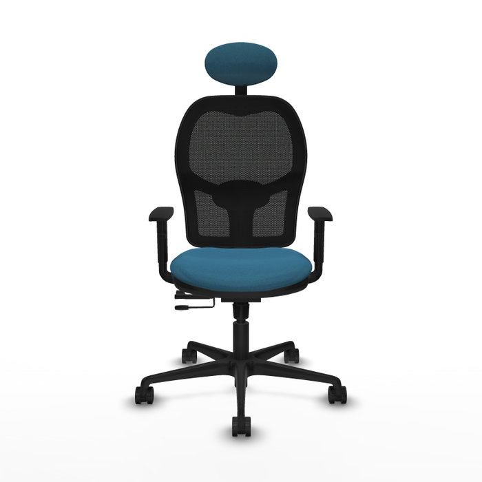 Silla de oficina Jorquera con mecanismo Sincro/Traslack tapizada con Tela color Verde petróleo y malla color Negro. Equipada con lumbar 1D, Brazos 1D, Cabecero Fijo y Ruedas 65mm nailon Silla de oficina Jorquera con mecanismo Sincro/Traslack tapizada con Tela color Verde petróleo y malla color Negro. Equipada con lumbar 1D, Brazos 1D, Cabecero Fijo y Ruedas 65mm nailon