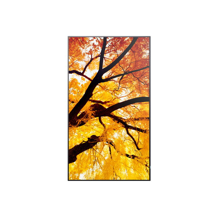 Sharp MultiSync M432 Pantalla plana para señalización digital 43 pulgadas 4K Ultra HD Negro Sharp MultiSync M432 Pantalla plana para señalización digital 43 pulgadas 4K Ultra HD Negro