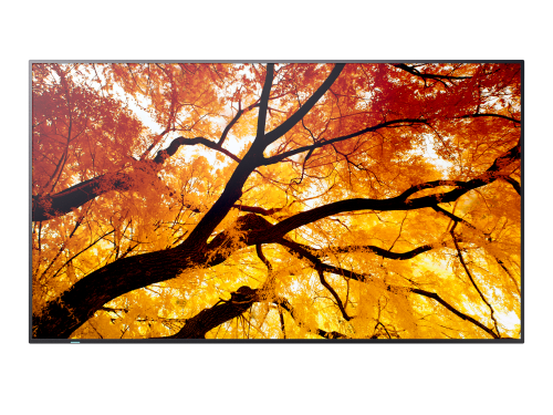 Monitor Videowall Sharp 60006053 4K Ultra HD 42,5" Monitor Videowall Sharp 60006053 4K Ultra HD 42,5"