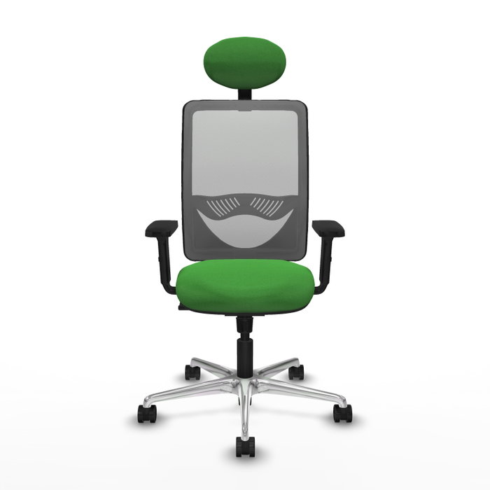 PIQUERAS Y CRESPO Silla de oficina Zulema con mecanismo Sincro, Verde y Gris PIQUERAS Y CRESPO Silla de oficina Zulema con mecanismo Sincro, Verde y Gris