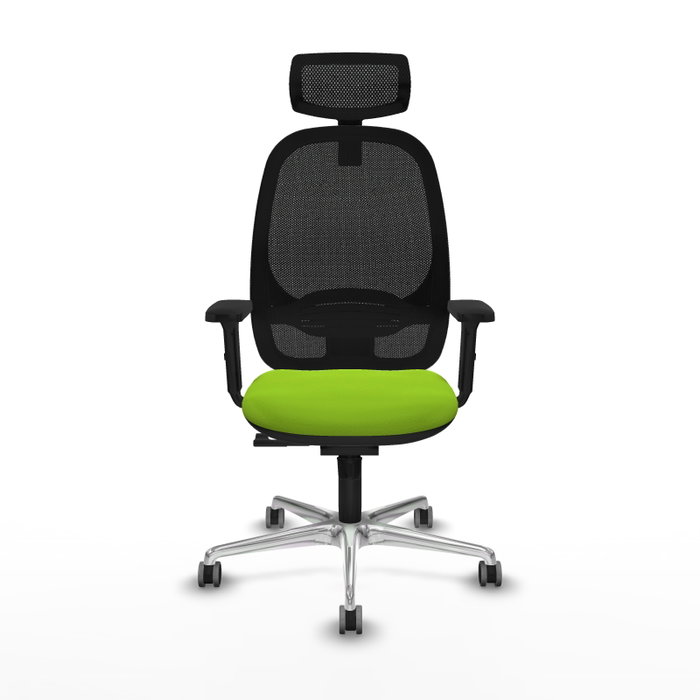 PIQUERAS Y CRESPO Silla de oficina Cilanco con mecanismo Sincro, Pistacho y Negro PIQUERAS Y CRESPO Silla de oficina Cilanco con mecanismo Sincro, Pistacho y Negro