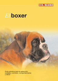 H.BLUME, El boxer - H.BLUME