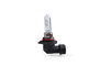 Bombilla para Automóvil M-Tech HIR1 9011 PX20D 65 W 12 V Halógena