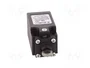 PIZZATO ELETTRICA Interruptor de fin de carrera FR 2215-M2R28 con roldana de acero Ø12mm