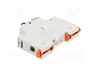 GEWISS MCB Interruptor magnetotérmico MT 60 1 Polo 10A 6kA